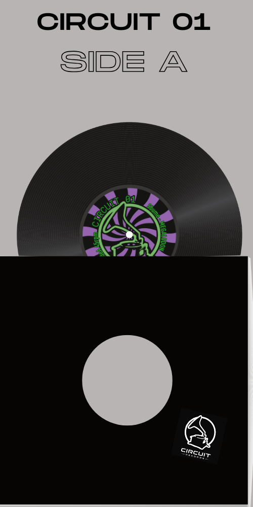 CIRCUIT 01 side A render